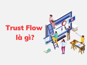 Tìm hiểu Trust flow là gì?