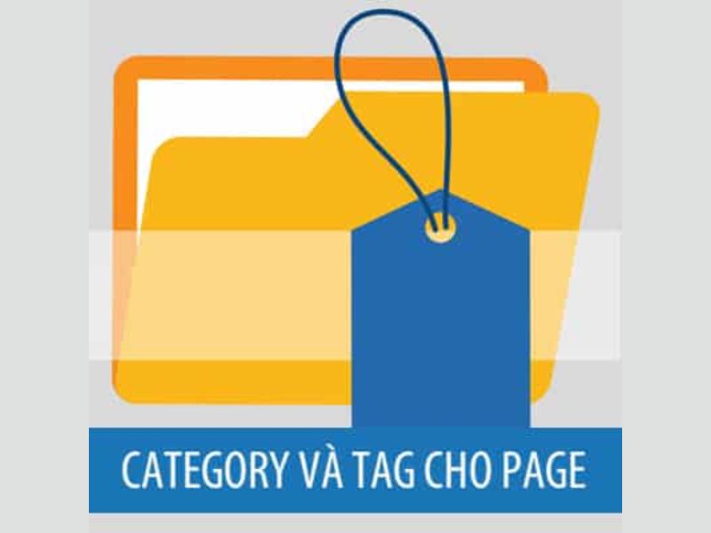 Tag và Category Pages