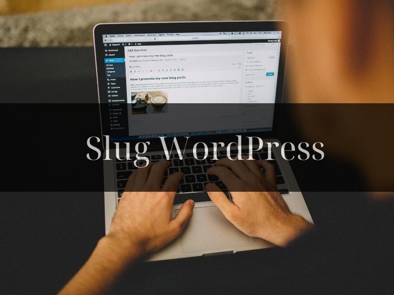 Tìm hiểu Slug WordPress là gì?