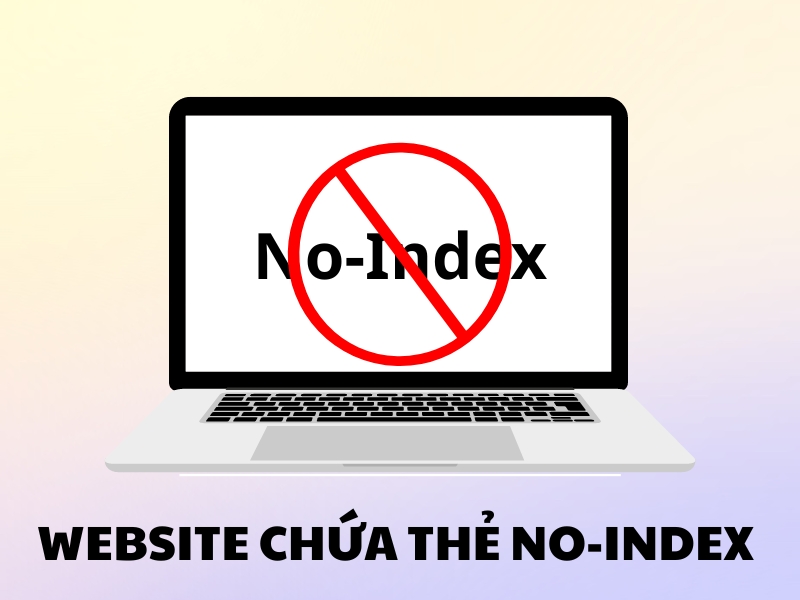 Chứa thẻ No-index dẫn đến việc Google sẽ không index trang web của bạn