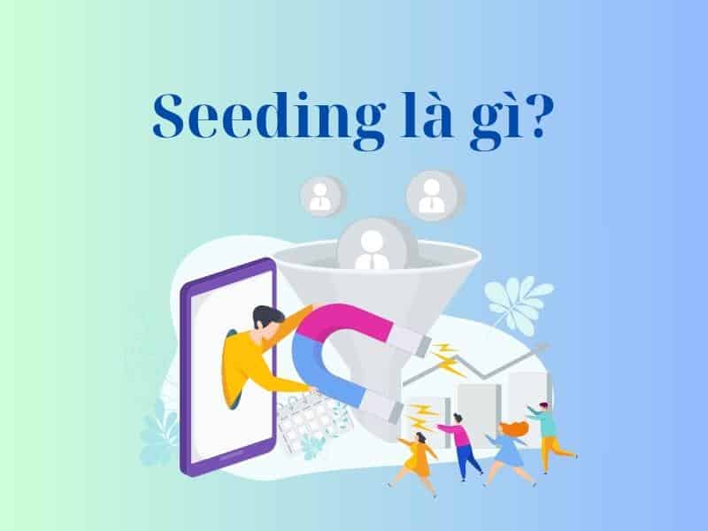 Tìm hiểu seeding là gì?