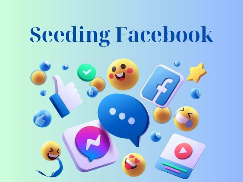 Các kênh seeding là gì? Facebook
